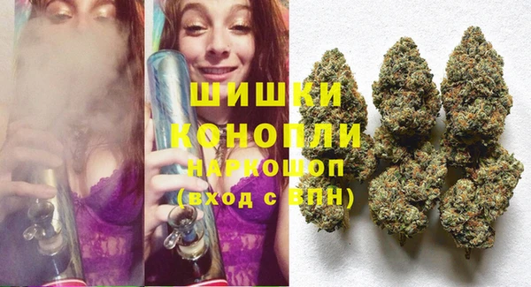 прущие грибы Каменногорск