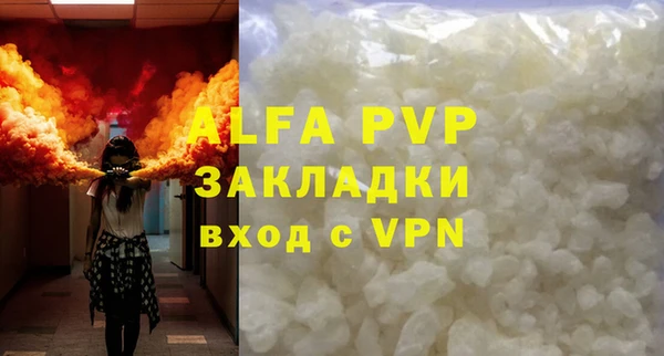прущие грибы Каменногорск