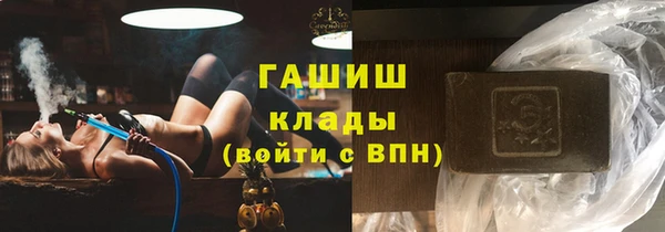 шишки Каменка