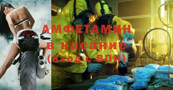 прущие грибы Каменногорск