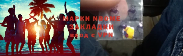 прущие грибы Каменногорск