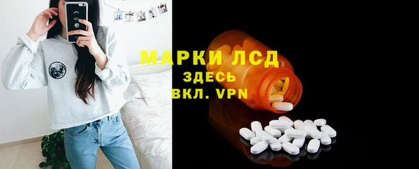 шишки Каменка