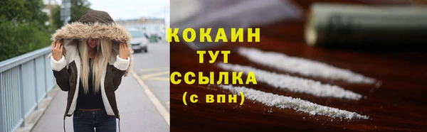 прущие грибы Каменногорск