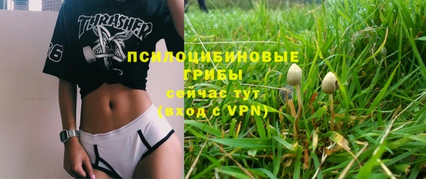 шишки Каменка