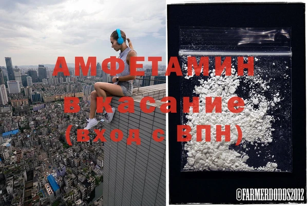 шишки Каменка