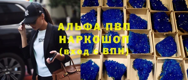 прущие грибы Каменногорск