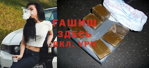 шишки Каменка