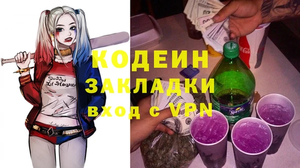 прущие грибы Каменногорск