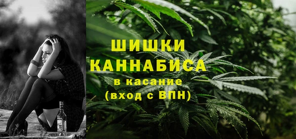 прущие грибы Каменногорск
