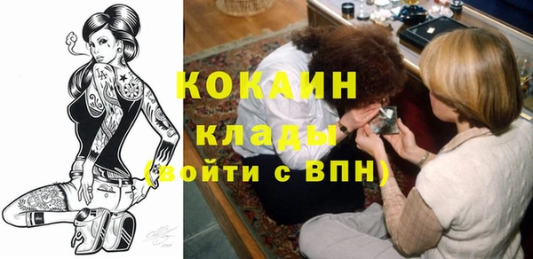 шишки Каменка