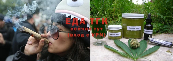 прущие грибы Каменногорск