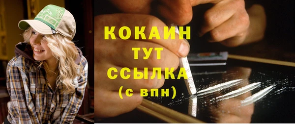 шишки Каменка